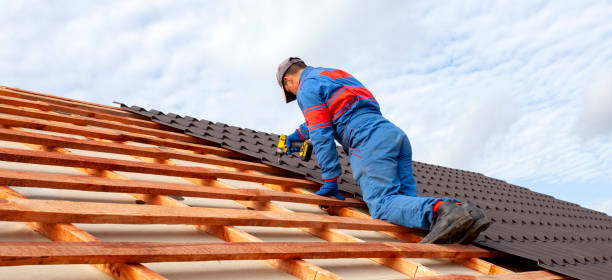 Best Roof Moss and Algae Removal  in Pymatuning Central, PA